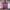 Sportswear Hoody Wanita pink photo 1