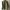 Vintage Indie Parka Pria green photo 7