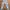 Carhartt Vintage Y2K Jeans Pria blue photo 4