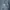 Nudie Indie Casual Jeans Pria blue photo 6