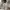 Adidas Y2K Sportswear Jersey Pria white photo 5