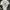 Adidas Y2K Sportswear Jersey Pria white photo 2