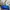 The North Face Sportswear Windbreaker Wanita blue photo 7