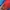 The North Face Gorpcore Kids red blue photo 6