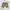 Beams Streetwear Y2K Short Pria multicolor green khaki photo 1