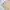 Crop top Wanita yellow photo 5
