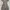 Luxury Minimalist Summer dress Wanita gray photo 1