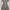 Luxury Minimalist Summer Dress Wanita Gray