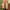 Timberland Casual Boots Pria tan photo 6