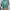 Sweater Wanita green photo 4
