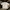 Uniqlo Streetwear Skater T-shirt Pria cream photo 2