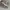 Converse Vintage Skater Sneakers Pria white black photo 5