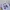 Adidas Y2K Sportswear Jersey Pria white photo 6