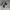 VANS Vintage Skater Sneakers Pria white black photo 2