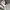 Casual Formal pants Pria gray photo 5