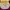 Nike Sportswear Casual Jersey Pria burgundy yellow photo 3