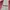 Reebok Sportswear Casual Jersey Pria white red photo 6