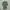 Nike Streetwear Indie Jersey Pria white green photo 4