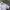 Vintage Formal shirt Pria white photo 2