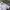 Vintage Formal Shirt Pria White
