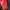 Fairy Cosplay Suit Pria red black photo 3