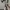 Vintage Suit Pria tan cream photo 6