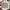 Coach Luxury Minimalist Tote bag Wanita gray photo 7