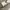 Coach Luxury Minimalist Tote bag Wanita gray photo 4