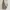 Coach Luxury Minimalist Tote bag Wanita gray photo 3