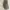Coach Luxury Minimalist Tote bag Wanita gray photo 2