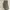 Coach Luxury Minimalist Tote Bag Wanita Gray