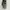 Kate Spade Streetwear Luxury Crossbody Bag Wanita white black photo 4