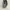 Kate Spade Streetwear Luxury Crossbody Bag Wanita white black photo 5