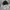 Adidas Sportswear Hoody Pria white black photo 2