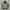 Nike Streetwear Hoody Pria gray photo 1