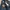 Johnbull Streetwear Jeans Pria blue photo 3