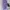 NADJANI Going out dress Wanita purple photo 5