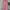 Casual dress Wanita pink photo 7