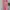 Casual dress Wanita pink photo 2
