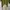 Maxi dress Wanita green photo 3