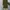 Maxi dress Wanita green photo 7