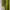 Maxi dress Wanita green photo 6