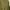 Maxi dress Wanita green photo 4