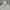 Nike Streetwear Hoody Pria gray photo 3