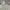 Nike Streetwear Hoody Pria gray photo 4