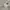 Nike Streetwear Hoody Pria gray photo 7