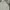 Nike Streetwear Hoody Pria gray photo 2