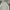 Nike Streetwear Hoody Pria gray photo 2