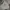 Nike Streetwear Hoody Pria gray photo 1