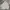 Von Dutch Vintage Streetwear Hoody Pria gray photo 1